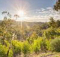 Skillogalee - QLD Tourism