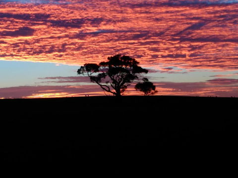Heartland Hideaway - Queensland Tourism 3