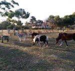 Heartland Hideaway - Queensland Tourism