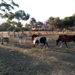 Heartland Hideaway - Queensland Tourism 0