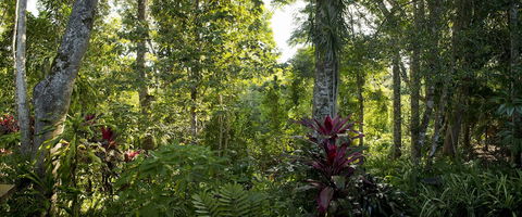Sharlynn By The River - Queensland Tourism 5