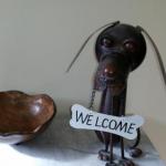 Bridgewater Dognme...furkid & Family Friendly... - QLD Tourism 1