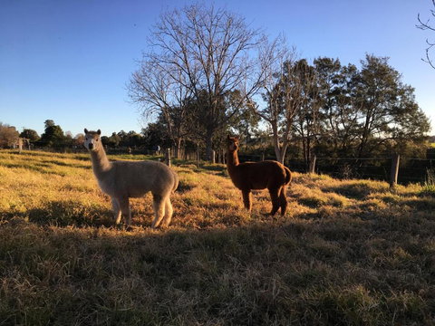 Muswellbrook Northside B & B - QLD Tourism 2