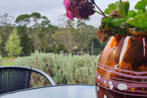 Lockleigh Park - QLD Tourism 6