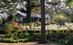 Foxglove Gardens - thumb 2
