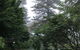 Foxglove Gardens - thumb 6