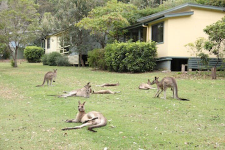 Depot Beach NSW QLD Tourism