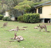 Depot Beach Cabins - QLD Tourism