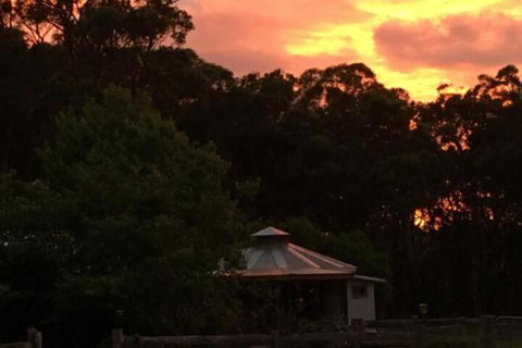 Ionaforest Yurt & Shepherds Hut - Queensland Tourism 4