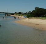 Black Dolphin Waterfront Apartment - Queensland Tourism