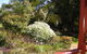 Belle Cottage - thumb 1