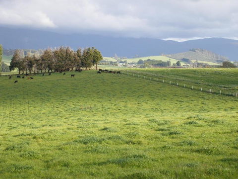Belle Cottage - QLD Tourism 6