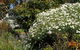 Belle Cottage - thumb 2