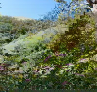 Copeland Manse - QLD Tourism