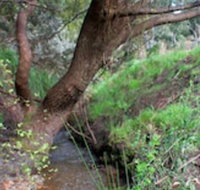 Longwood Retreat - Queensland Tourism