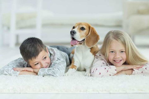 Boutique Stays County Down Port Melbourne - Queensland Tourism 6