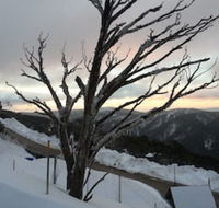 Snowflake 12 - Queensland Tourism