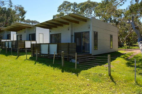 Bimbi Park - Camping Under Koala - Queensland Tourism 6