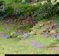 Leura Fairways West - QLD Tourism
