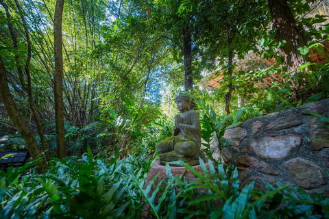The Tree House. Treetop Living Near The Ocean Coolum Beach QLD Australia - Queensland Tourism 2