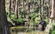 Shady Creek Eco Cabin - thumb 3