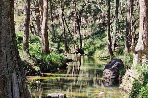 Shady Creek Eco Cabin - Queensland Tourism 3