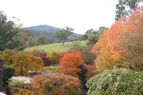 Riverhouse At Howqua Dale - Queensland Tourism 5