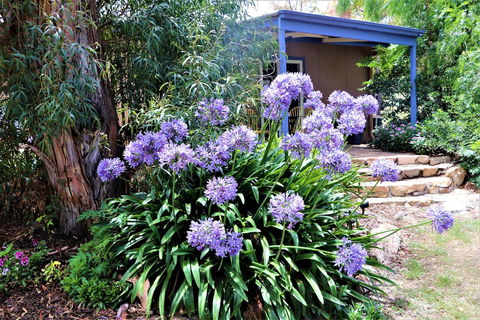 A Stanthorpe Getaway - Queensland Tourism 4