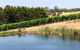 Seville Estate - thumb 3