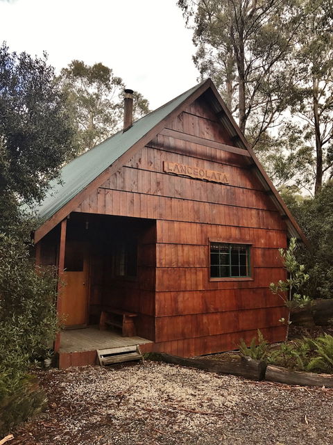 Cradle Mountain Highlanders Cottages - QLD Tourism 4
