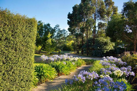 Alvie - QLD Tourism 4
