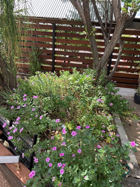 Central Motel - QLD Tourism 3