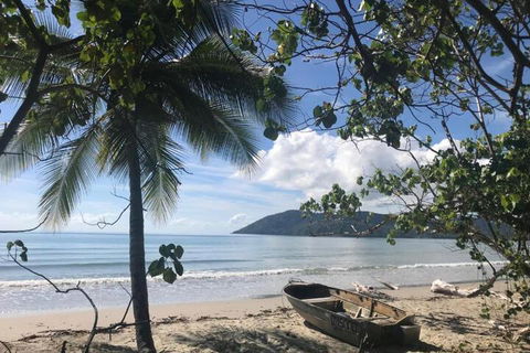 Daintree Rainforest Beach House - QLD Tourism 4
