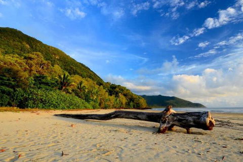 Daintree Rainforest Beach House - QLD Tourism 7