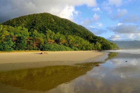 Daintree Rainforest Beach House - QLD Tourism 5