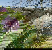 Wentworth Rose - Queensland Tourism