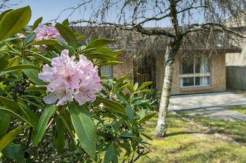 Wentworth Rose - QLD Tourism 0