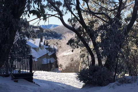Snowflake 13 - Queensland Tourism 7