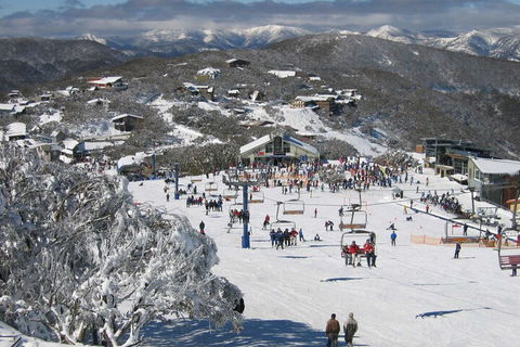 Snowflake 13 - Queensland Tourism 6