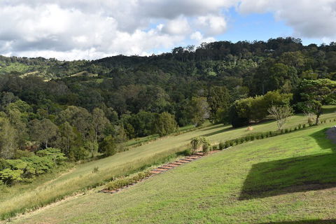Mapleton Springs - QLD Tourism 2