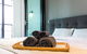 Oceanview Docklands - thumb 3