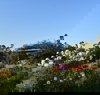 Labertouche Gypsy Creek Winery - QLD Tourism