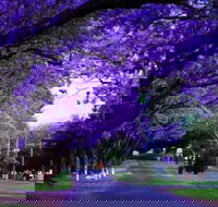 Park view on the City Fringe - Queensland Tourism