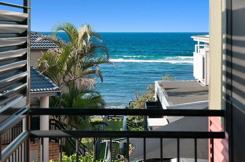 Lennox Starfish Lennox Head - QLD Tourism 5