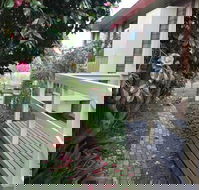 The Glen Family House - Queensland Tourism