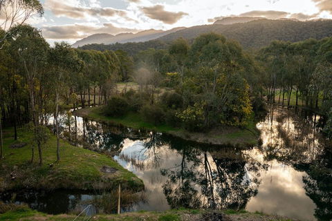 Dreaming Of The Buckland - Queensland Tourism 1