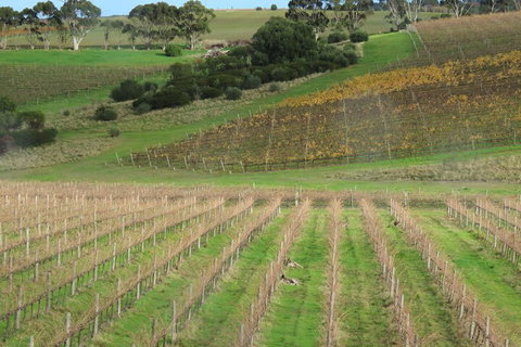 Hotel California Road Inkwell Wines - QLD Tourism 4