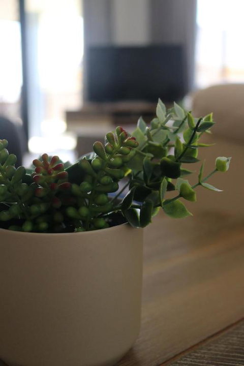 Hi Surf Unit 3 92 Head St. Forster - QLD Tourism 3