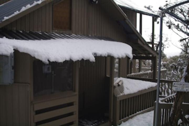 Mount Buller VIC QLD Tourism