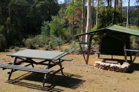 Minnow Cabins - QLD Tourism 6